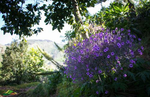 Cuevas De Barreto - Foto 48