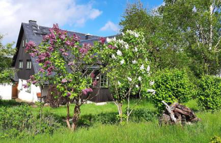 Ferienhaus Schellerhäusl - Foto 39