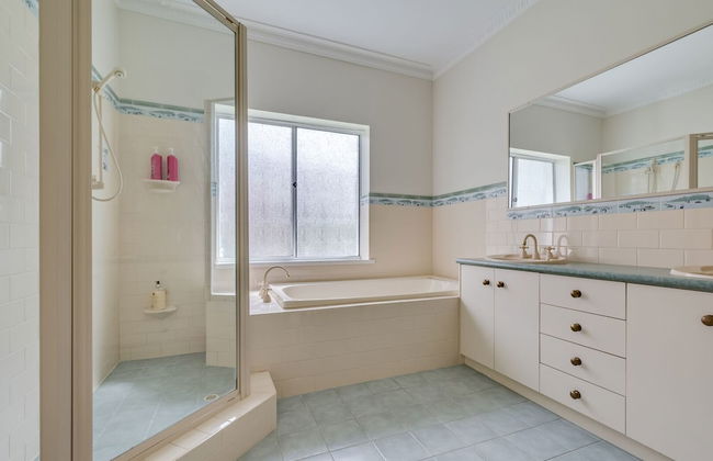 Serpentine Rose - Photo 15