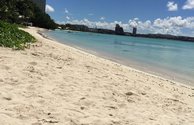 Perez Ipao Apts - Photo 25