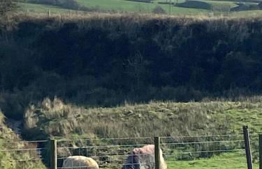 Spacious Holiday Home in Cumbria - Foto 13