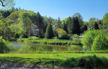 Ferienwohnung Landidyll, Whirlpool, Minipigs, Ponys, Familien - Foto 29