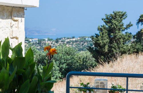 Erato House - Foto 9