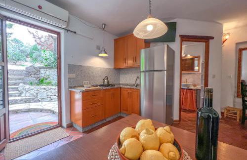 Tropical Studio - Foto 17