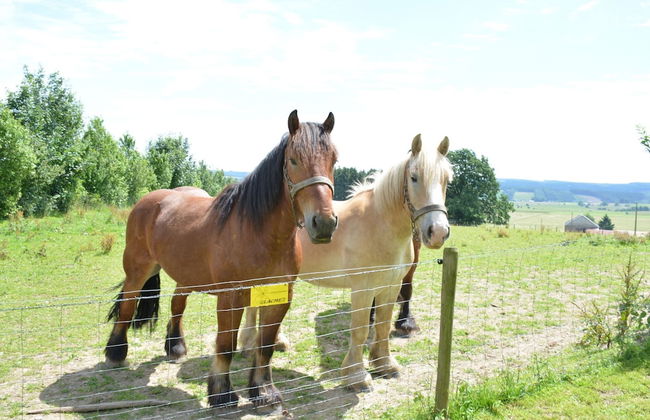 Cozy Farmhouse Near Houffalize - Photo 19