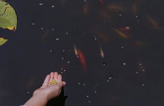 Cotswolds Escape - Foto 24