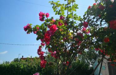 Franco house with pool - Foto 56