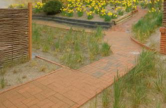 Ferienwohnung Sonnendüne Insel Juist - Foto 10