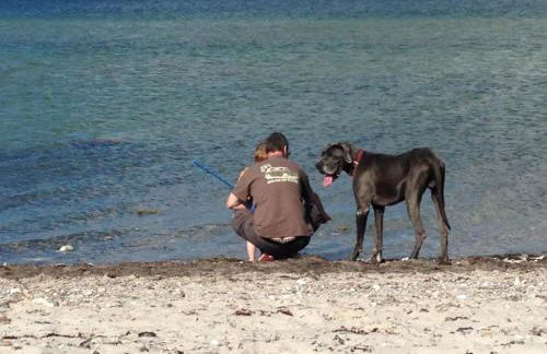 Ferienhaus Traumblick mit Meerblick - Foto 13
