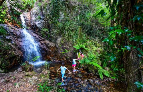 Vale do Ninho Nature Houses - Foto 43