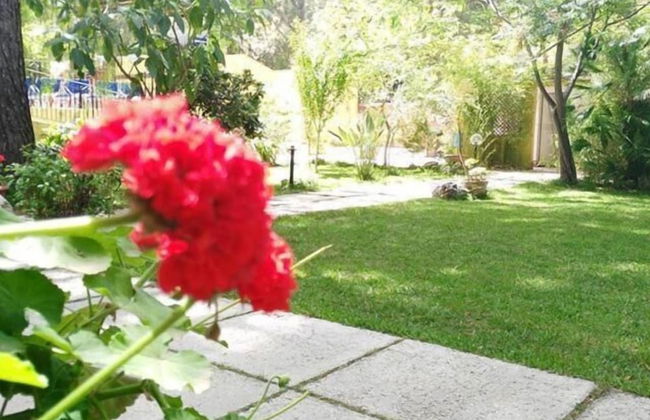 Terme Acqua Pia Wellness & SPA - Foto 39