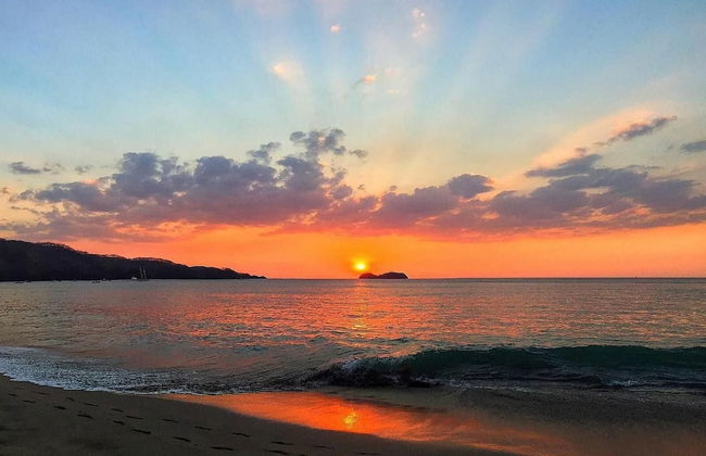 1-Bedroom Near Pool - Photo 45