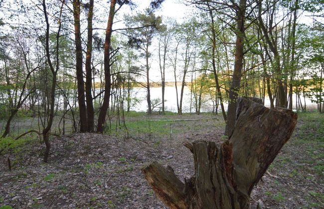 Modern Villa With Sauna, Right Next to the Lake - Photo 35