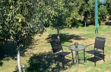 Studio apartman Anita - Foto 2