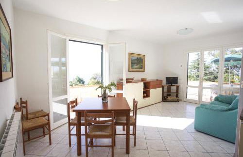 Bougainvillea Primo Piano - Goelba - Foto 7