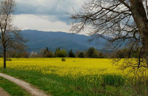 Apartment Sant Francesc - Photo 39