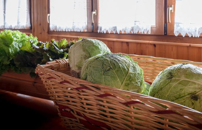 Agriturismo Al Luogo del Giulio - Foto 32