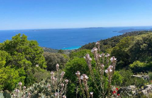 Rez de Jardin T3 recent et calme au Nouvelles Terres à La Londe les Maures - Foto 37