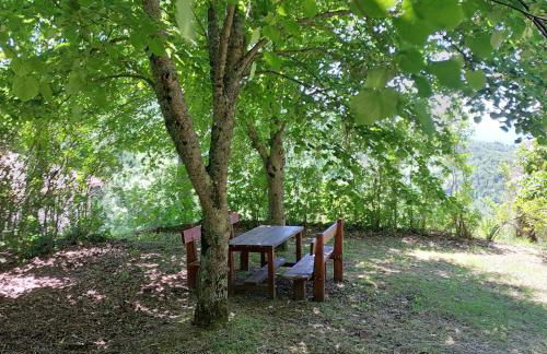 Dama35 - Tuscany holiday house - Casentino-La Verna - Foto 39