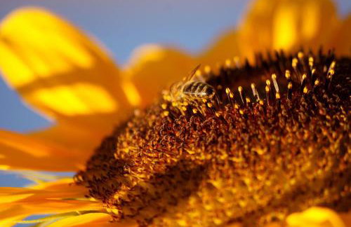 Schauenburgblick - Photo 15