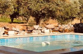 Paraíso a Dois em Estremoz - Foto 26