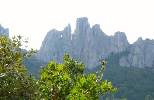 Gite nature les ANOURES en PROVENCE - Foto 24