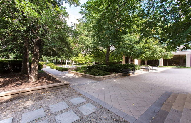 ComfyGetaway by DC,Metro,Airport - Photo 11