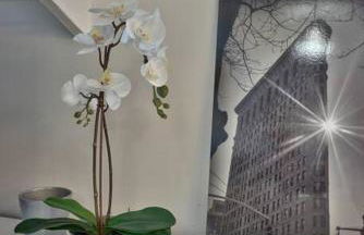 Le Perchoir Tassin - Clim & Proche Campus du numérique - Foto 17