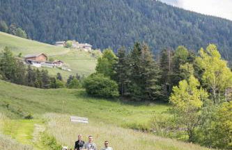 Appartement Birkenhof - Foto 19
