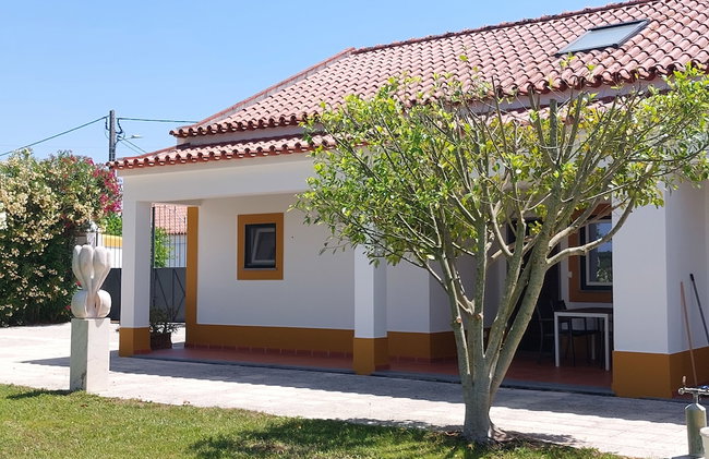 MirArte - Photo 115