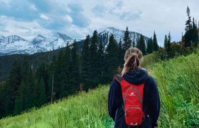 EML 7 Cloven-Hoofed - Foto 42