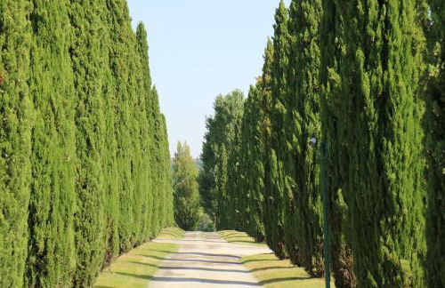 Agriturismo La Sovana - Photo 110