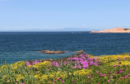 Miramare Isola Rossa - Foto 41