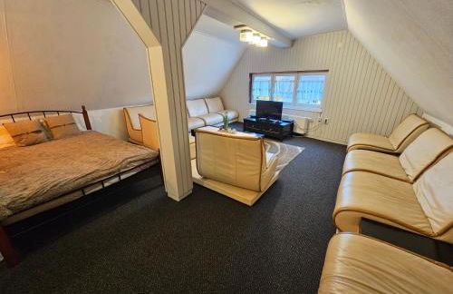 Alte Bibliothek - Foto 11