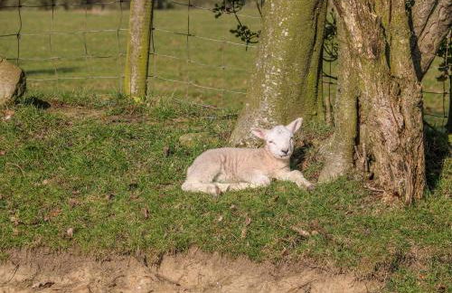 Stable View Cottage - Foto 20