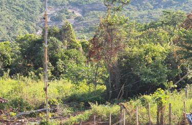 Apartamento da Cintia - Photo 4