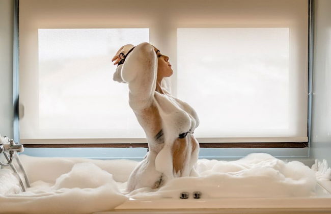 Casa Della Vita - Foto 77