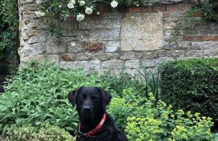 Beautiful grade 2 listed cotswold Stone Cottage - Foto 67