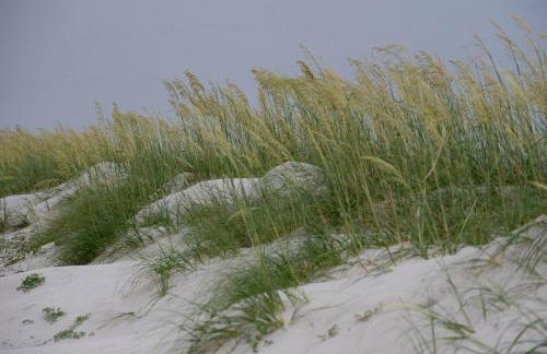 Spacious Condo in the Heart of Hilton Head - Foto 64