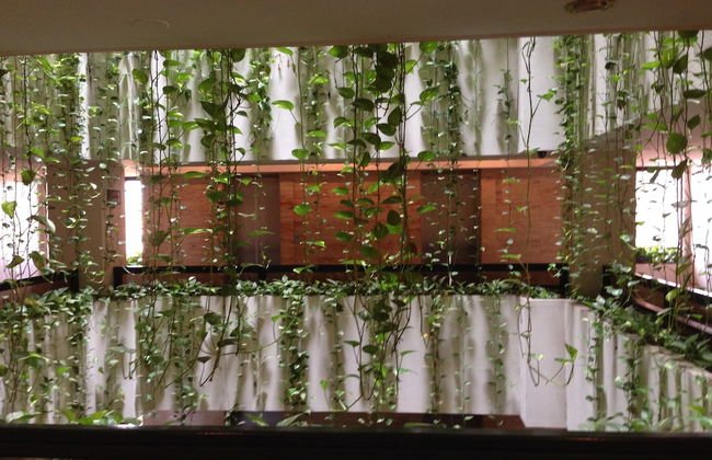 Apart Hotel Toborochi - Photo 2