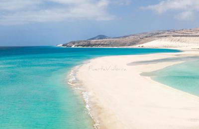 Amsterdam Lovely - Photo 73