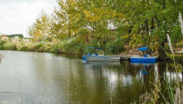 Tour in Montevideo - Foto 2