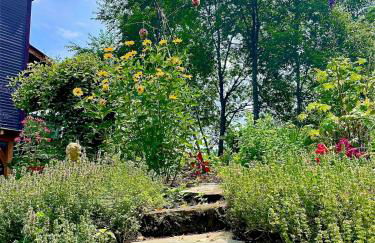 The Disco Den on Toad Road - Photo 13