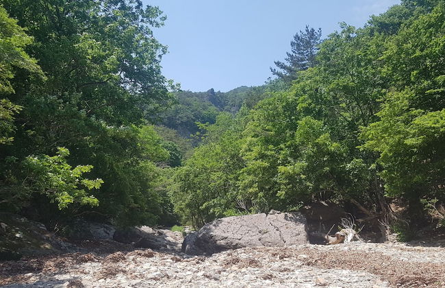 Moonlight House - Photo 54