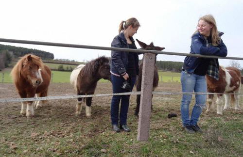 Bauernhof Nißl - Foto 29