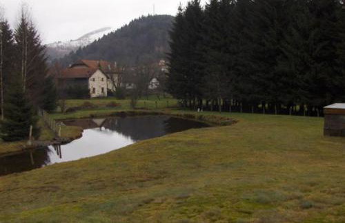 Gîte familial aux Vosges avec jeux pour enfants, à proximité de la nature et activités sportives - FR-1-589-111 - Foto 7