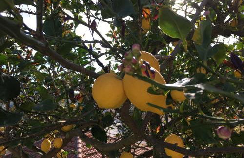 Selinofoto - A beautiful, traditional house in Vathy, Ithaca - Foto 12