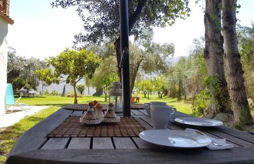 Tropical Studio - Foto 35