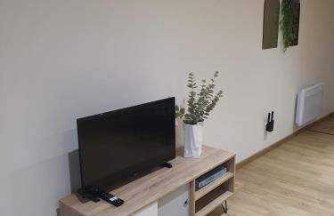 Charmant Appartement T2 au rez de chaussée - Foto 9