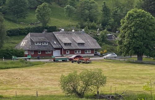 Romantisches Schwarzwaldhaus - Foto 2